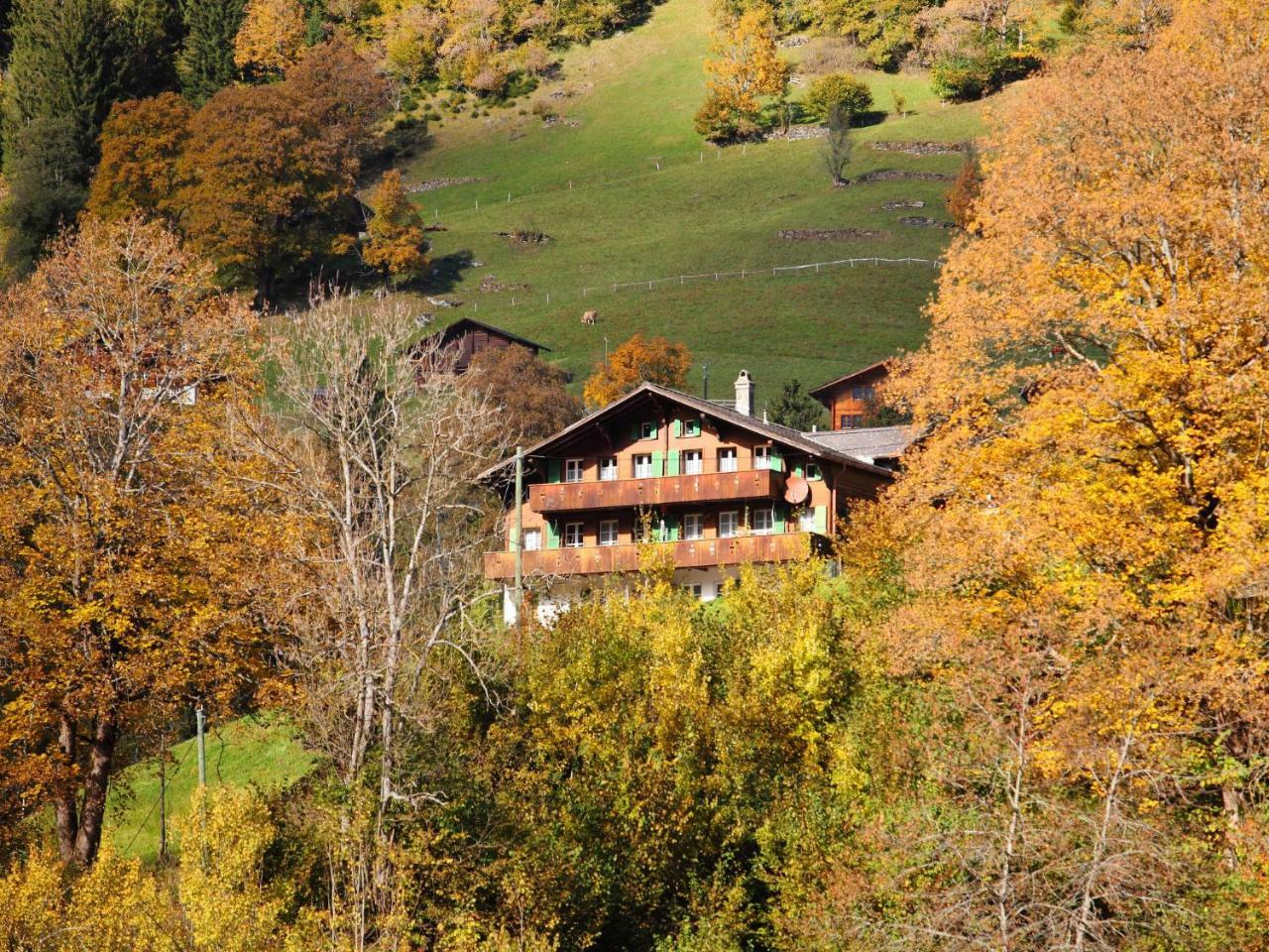 Apartment Chalet Auf Dem Vogelstein-1 By Interhome Grindelwald Exterior foto